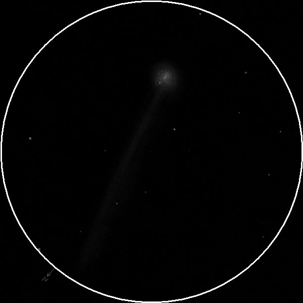Comet M4 Swan