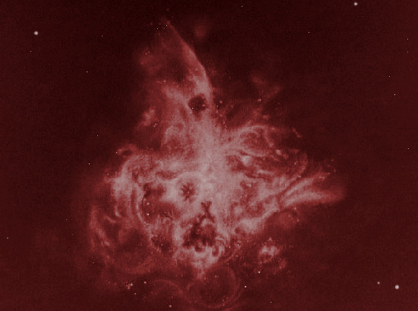 The tarantula Nebula
