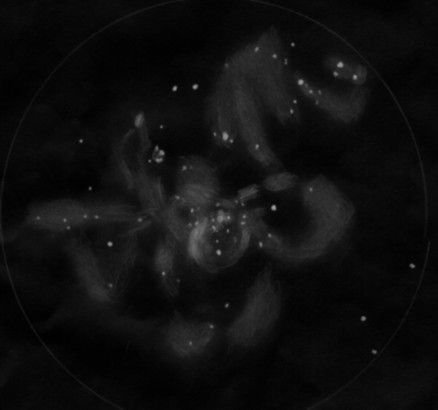 NGC 2070 wide field