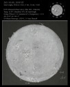 Sunspots and Proms, Filaments and Plage