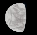 Venus - February 29, 2012