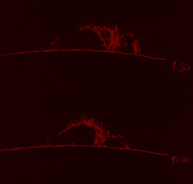 Prominences - July 22, 2012