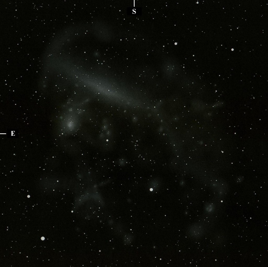 The Large Magellanic Cloud  