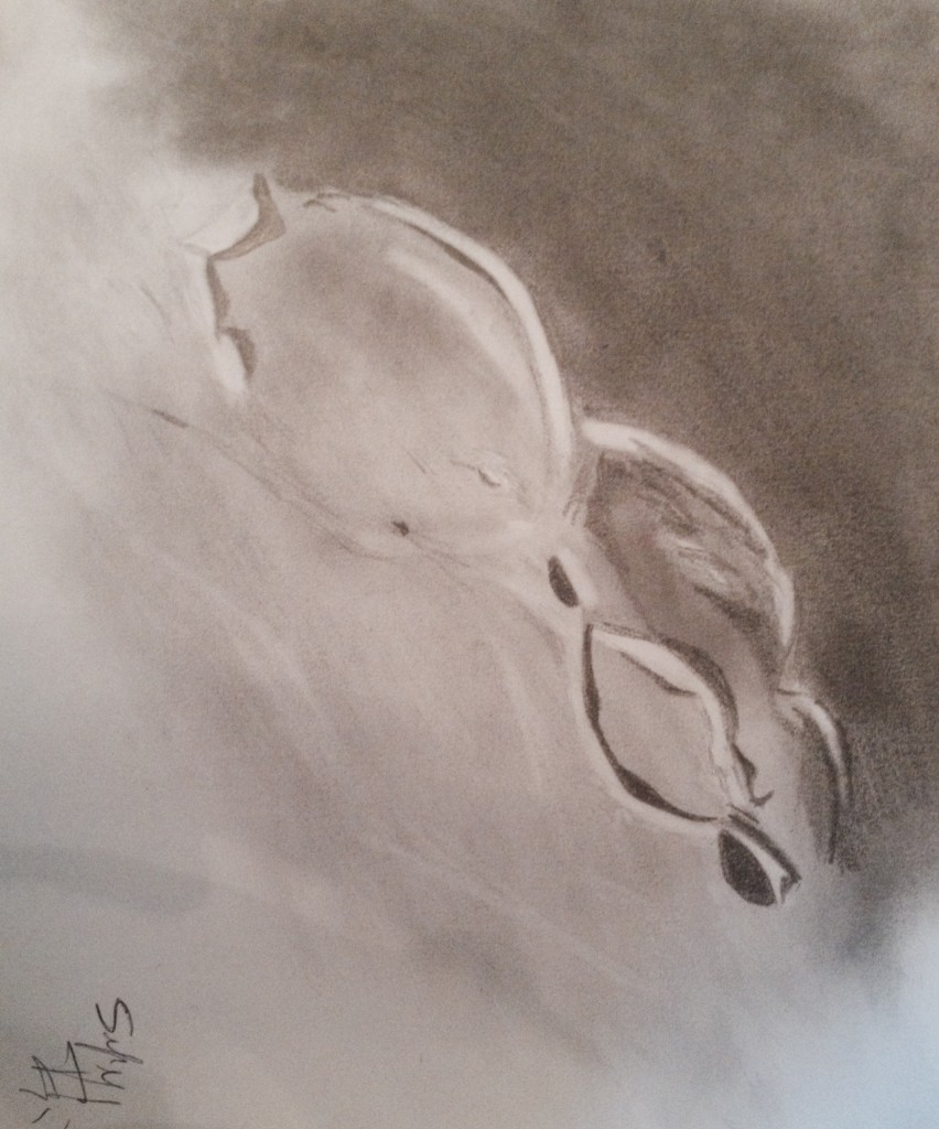Grimaldi Crater - March 14, 2014