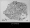 Dorsa Euclides and the lunar crater Euclides - August 6, 2014