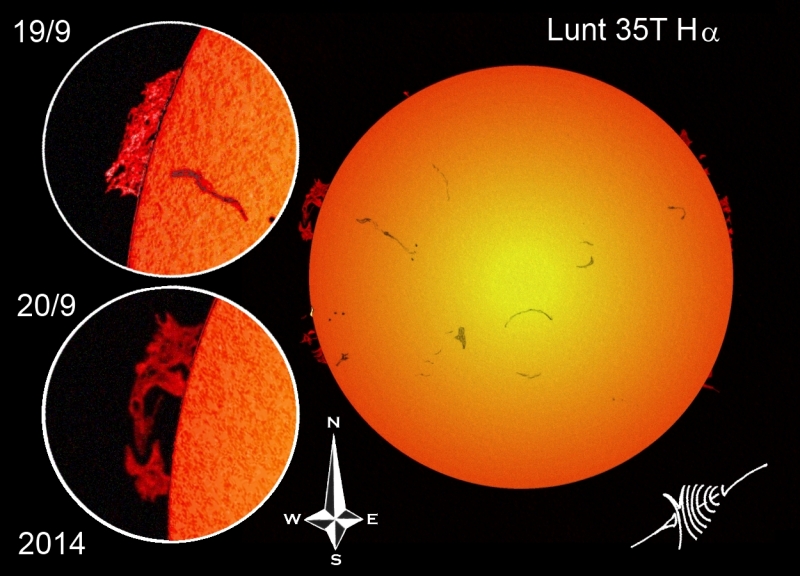 Solar prominences and plage on and near the limb - September 19th and 20th, 2014